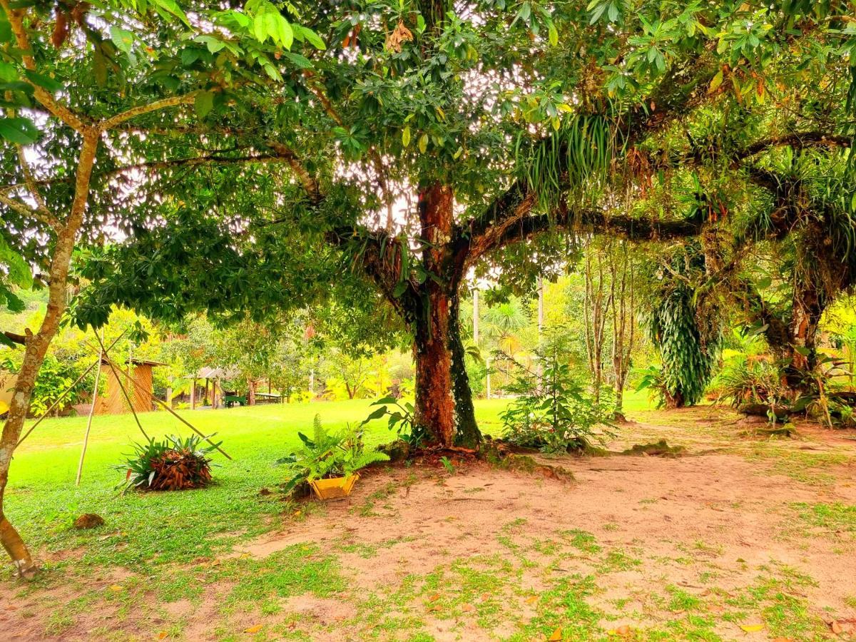 Ponta Poranga Jungle Lodge Manaus Exteriör bild