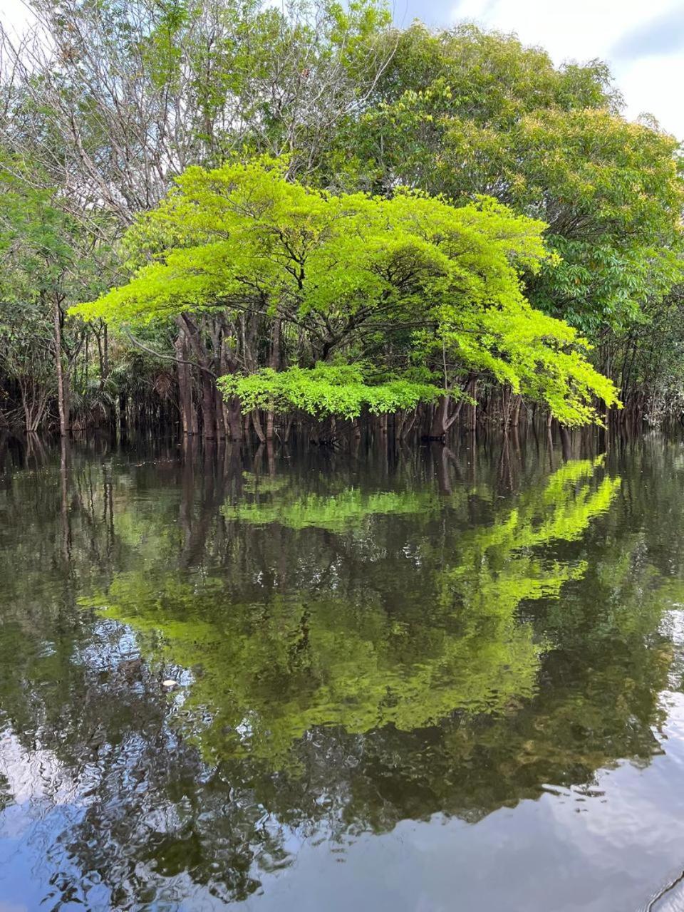 Ponta Poranga Jungle Lodge Manaus Exteriör bild