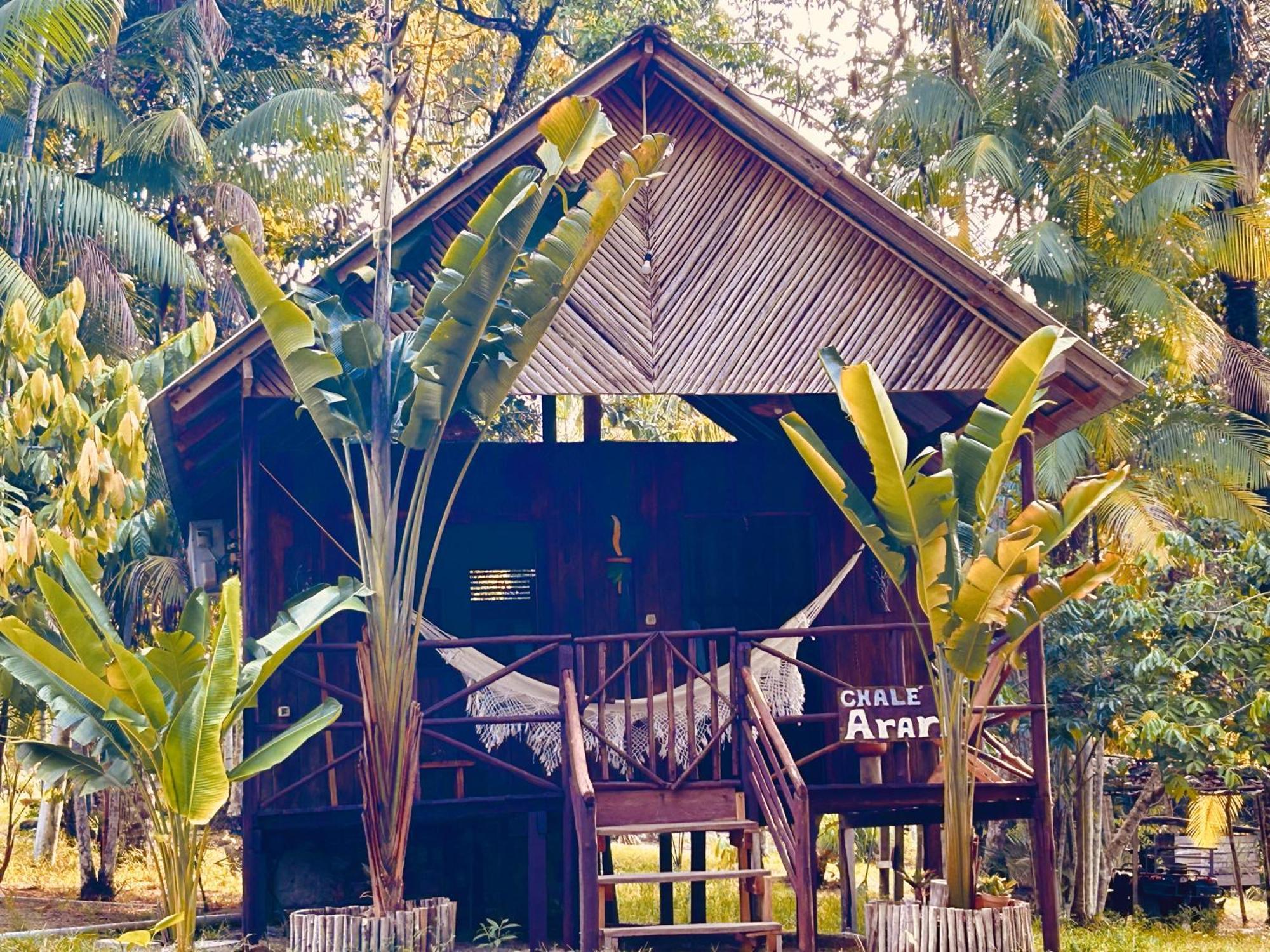 Ponta Poranga Jungle Lodge Manaus Exteriör bild